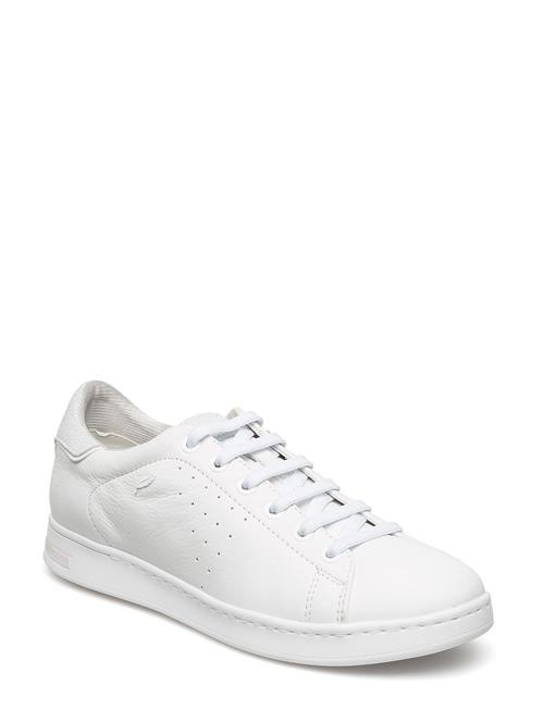 GEOX | D Jaysen A | 39