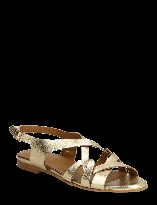 ANGULUS | Sandals - Flat | 38