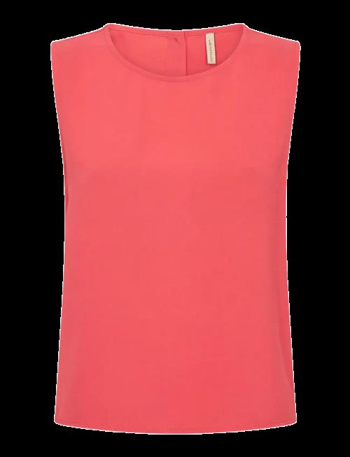 Soyaconcept | Sc-Cath | S
