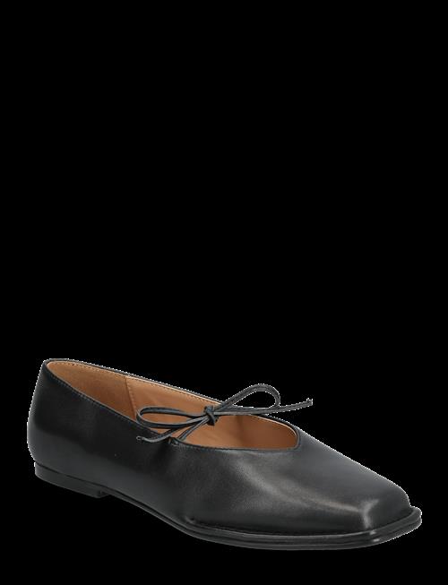 Steve Madden | Lola | 36