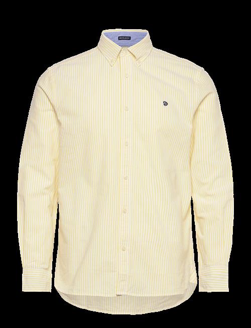 Superdry | Preppy Oxford L/S Shirt | XL
