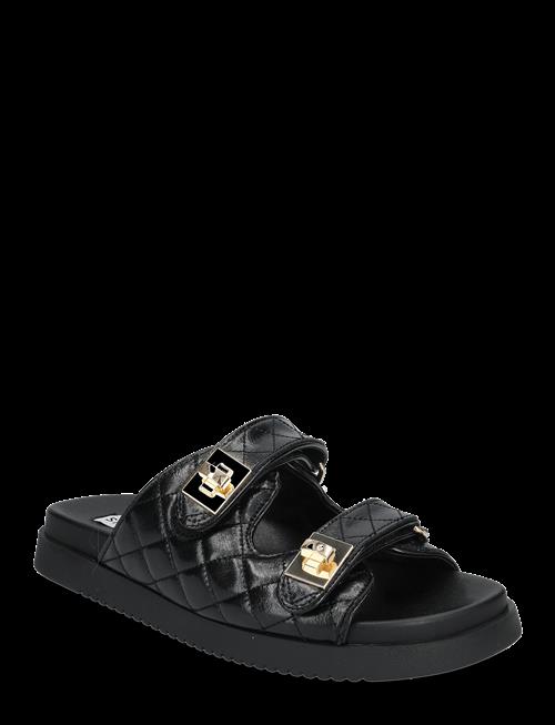 Steve Madden | Schmona-Cn Slides | 38