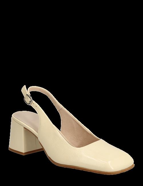 Wonders | Anila 01 | 39