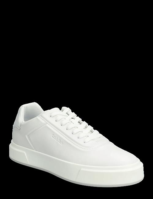 Calvin Klein | Basket Cups Oxf Lup Hf Lth | 45