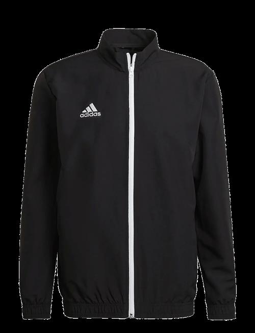 adidas Performance | Ent22 Pre Jkt | S