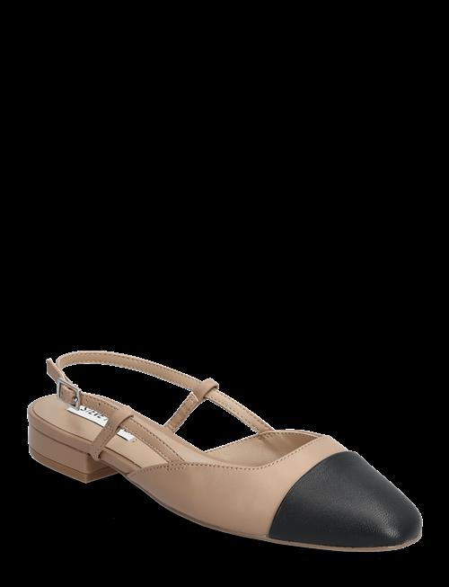 Steve Madden | Belinda Ballerina | 40