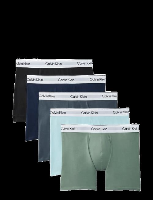 Calvin Klein | Boxer Brief 5Pk | L
