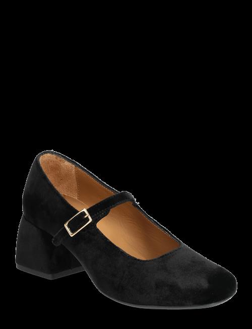 ANGULUS | Shoes - Heel - With Buckle | 38