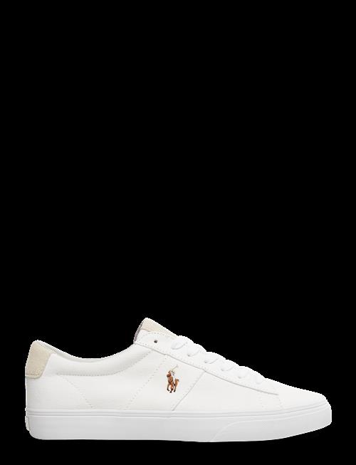 Polo Ralph Lauren | Sayer Canvas Sneaker | 36