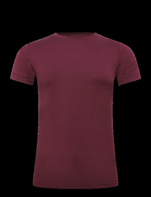 Icebreaker | Women Merino 150 Tech Lite Ss Tee | XS