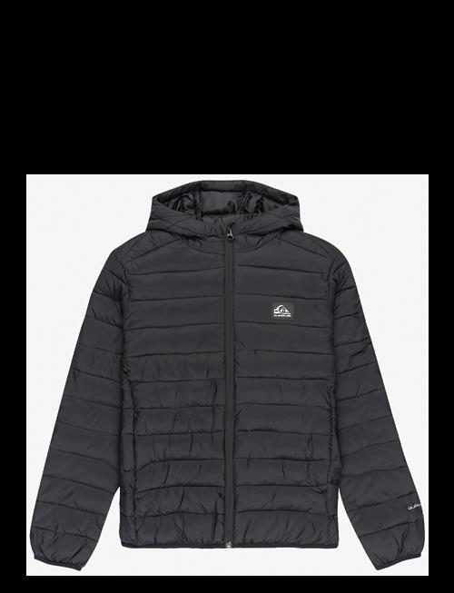 Quiksilver | Scaly Youth | 14