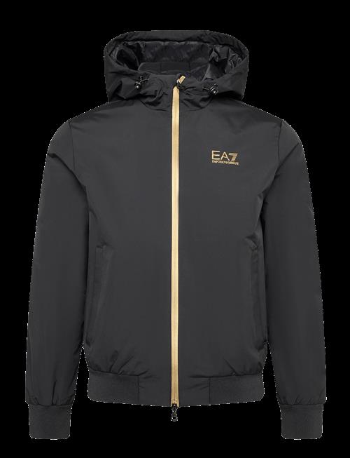EA7 | Bomber Jacket | XL