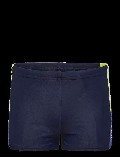 Speedo | Dive Aquashort | 140