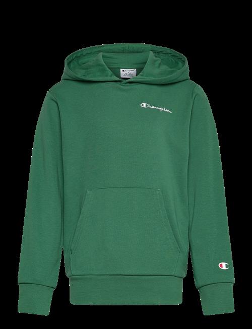 Champion | Hooded Sweatshirt | 164