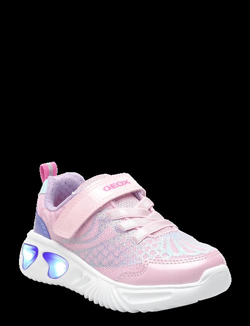 GEOX | J Assister Girl A | 34