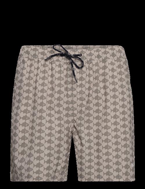 H2O | Nemo Swim Shorts | XL