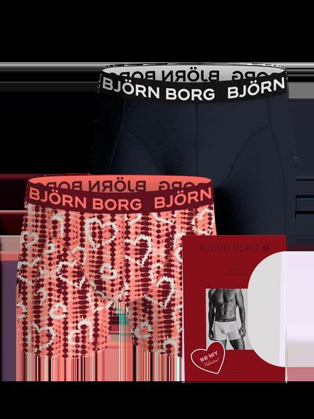 Björn Borg Bamboo Cotton Blend Boxers 2-pack Multi, S