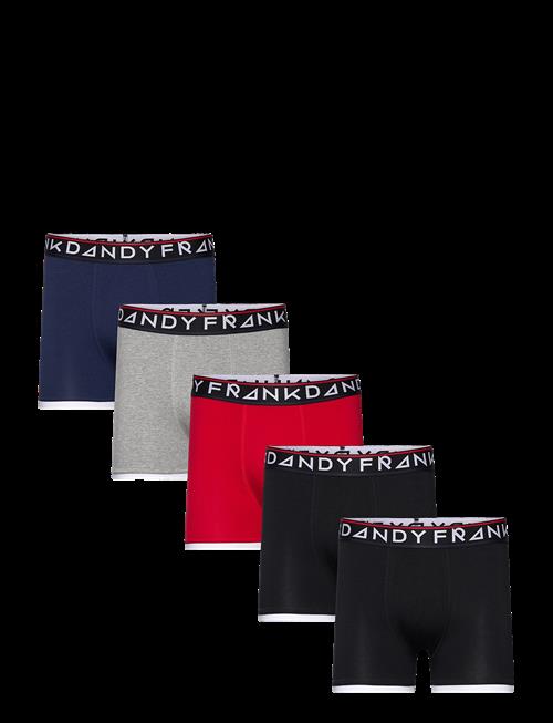 Frank Dandy | 5-P St Paul Bamboo Boxer | L