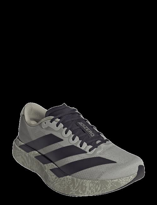 adidas Performance | Adizero Evo Sl M | 45 1/3