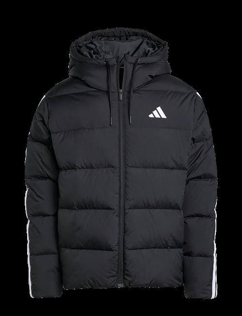 adidas Sportswear | Ess 3S P D Hd J | M
