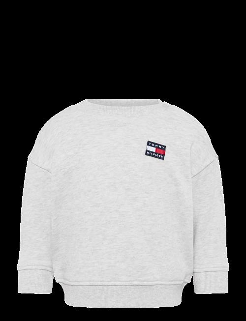 Tommy Hilfiger | Flag Heritage Cn Sweatshirt | 104