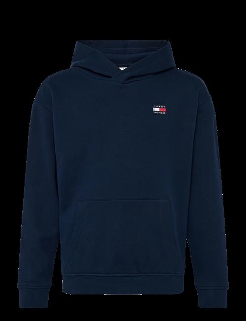 Tommy Hilfiger | Flag Heritage Hoodie | 110