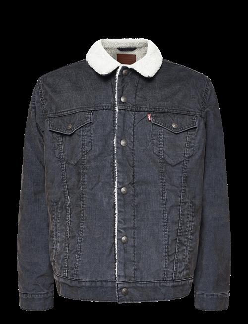 Levi's® | Type 3 Sherpa Trucker Wornin C | XXL
