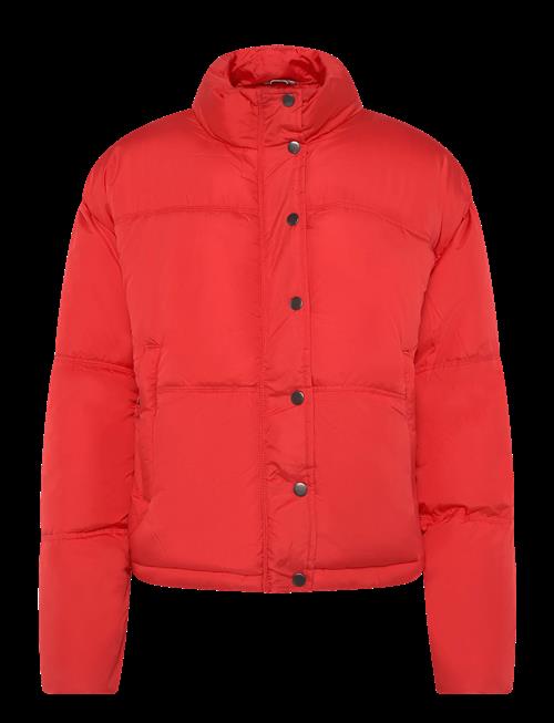 Fransa | Frebba Ja 1 | S