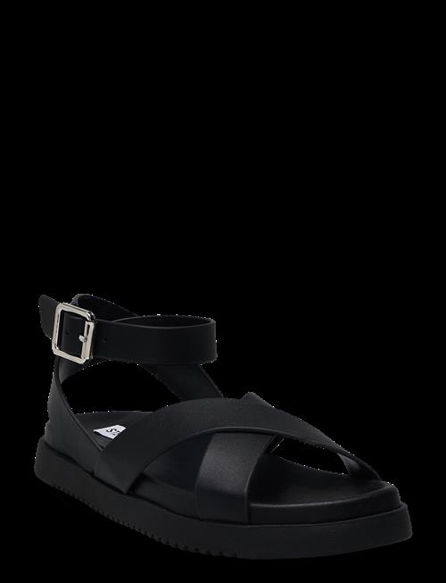 Steve Madden | My Bestie Sandal | 39