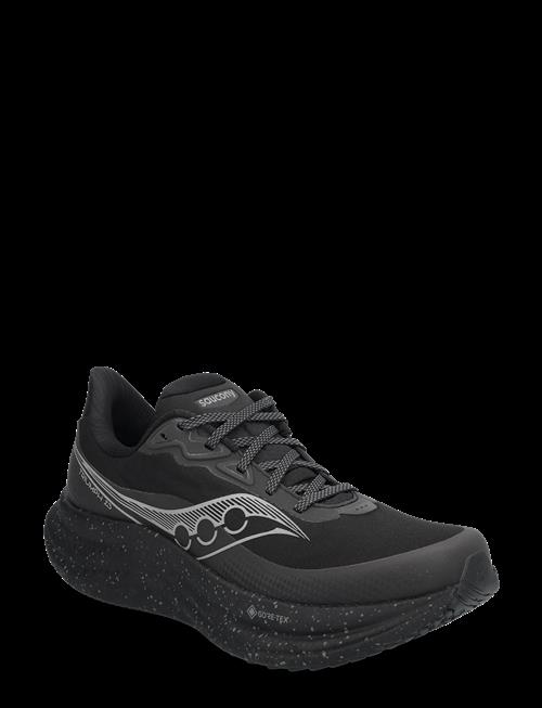 Saucony | Triumph 23 Gtx Men | 43