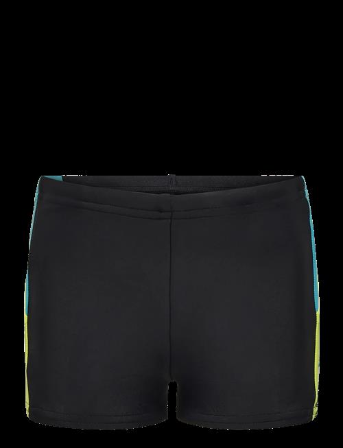Speedo | Dive Aquashort | 152