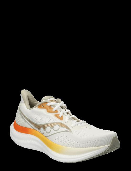 Saucony | Triumph 23 Men | 42
