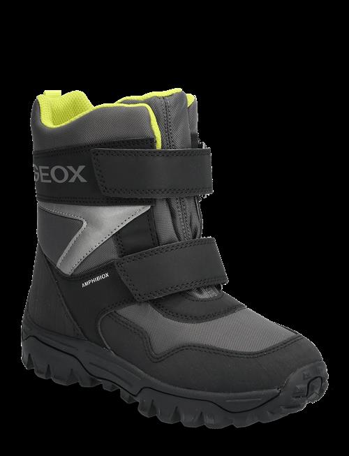 GEOX | J Himalaya Boy B Abx | 36