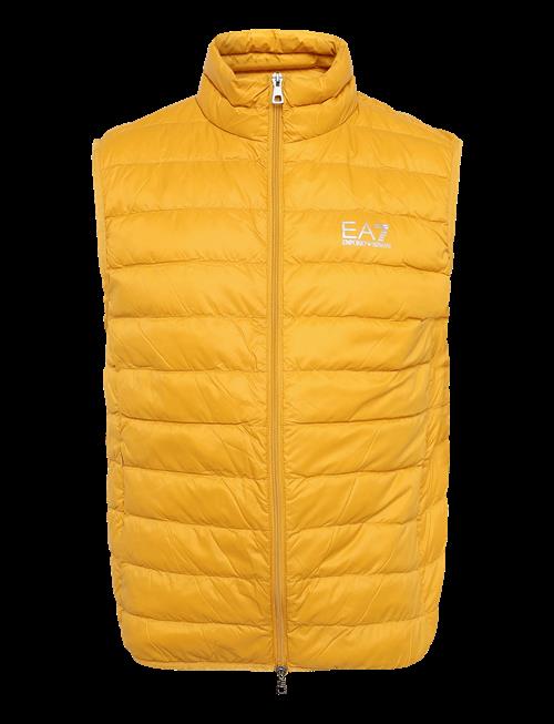 EA7 | Down Waistcoat | L