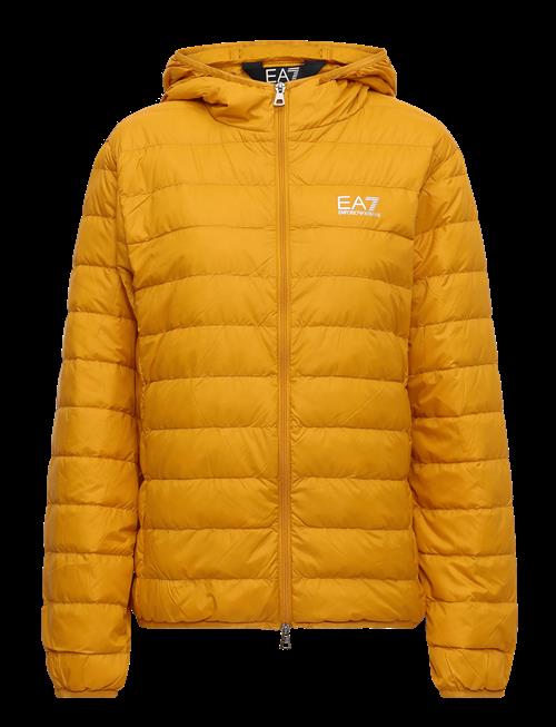 EA7 | Down Jacket | XXL