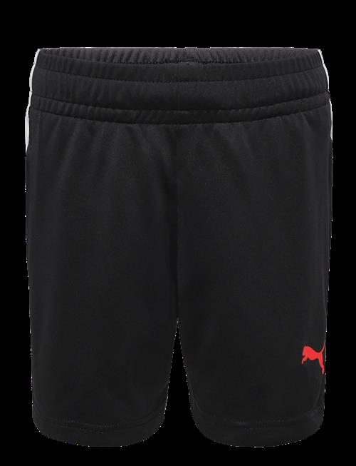 PUMA | Individualliga Training Shorts Jr | 152