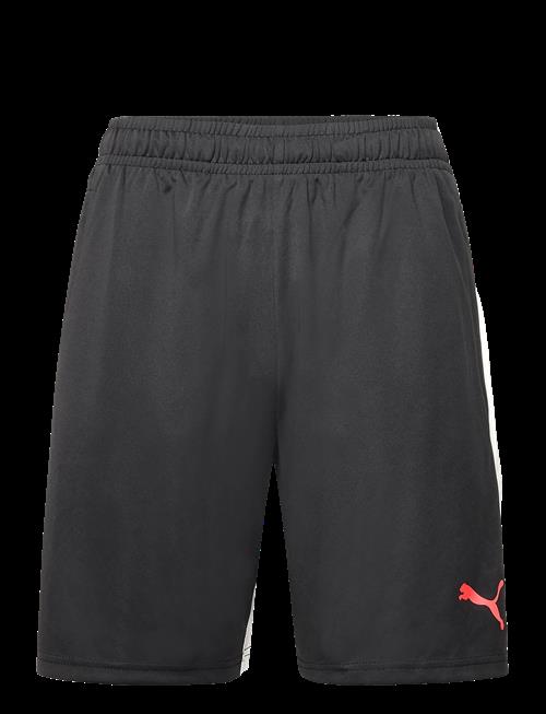 PUMA | Individualliga Training Shorts | L