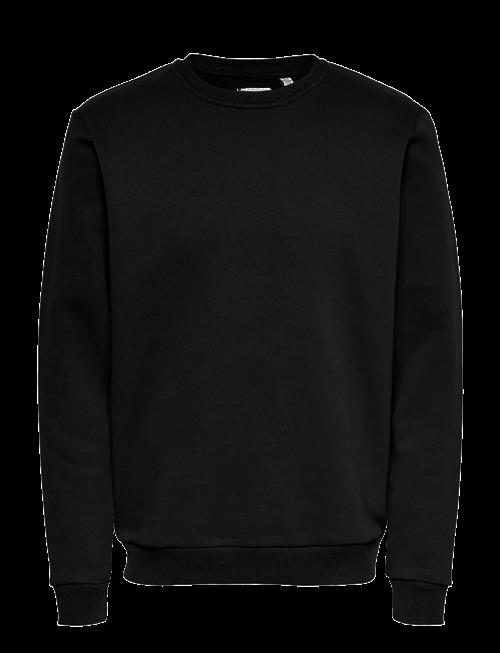 ONLY & SONS | Onsceres Crew Neck Noos | M