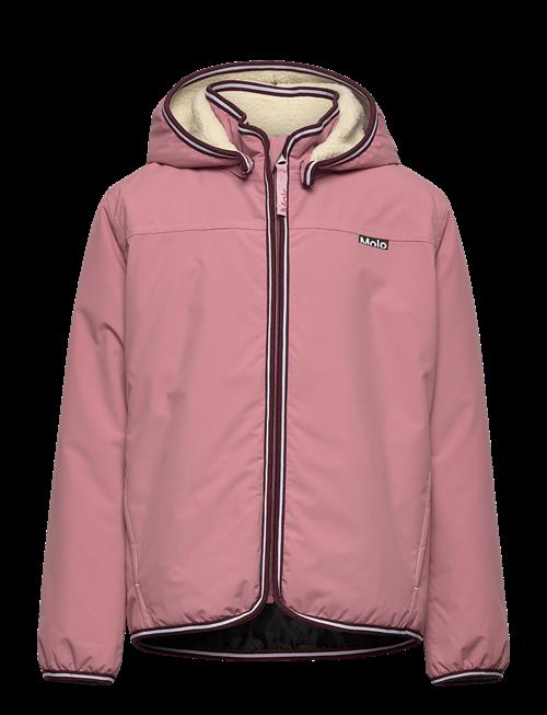 Molo | Winner | 152