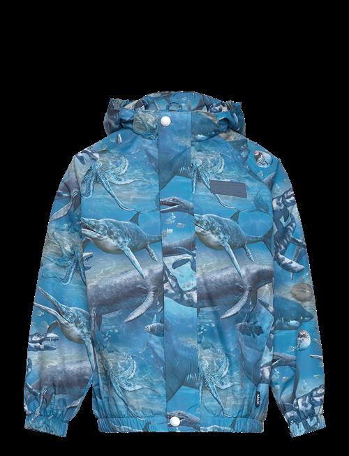 Molo | Waiton | 122-128