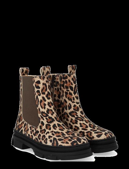 ANGULUS | Booties - Flat - With Elastic | 34
