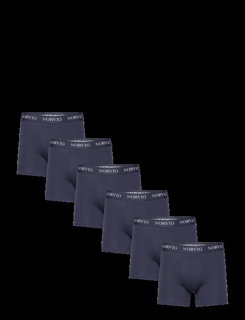 NORVIG | 6-Pack Mens Tights | XXXL