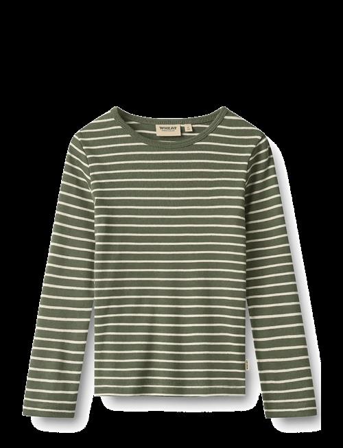 Wheat | T-Shirt L/S Stig | 128