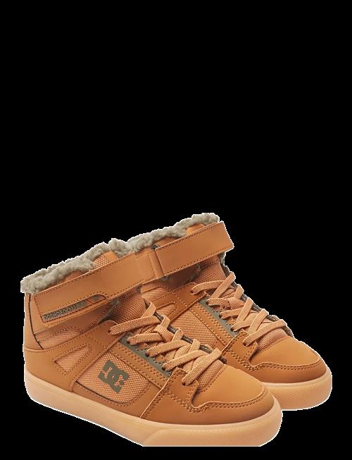 DC | Pure High-Top Wnt Ev | 36.5