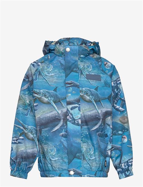 Molo | Waiton | 92-98