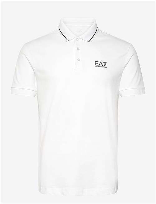 EA7 | Polo Shirt | L