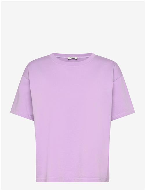 American Vintage | Fizvalley | L