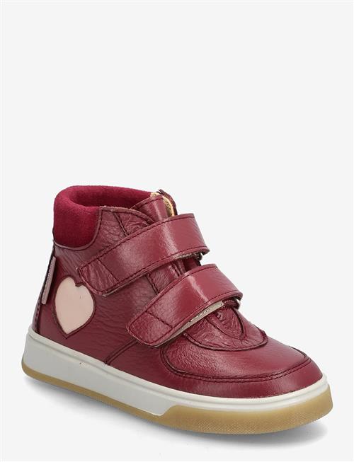 ANGULUS | Shoes - Flat - With Velcro | 31