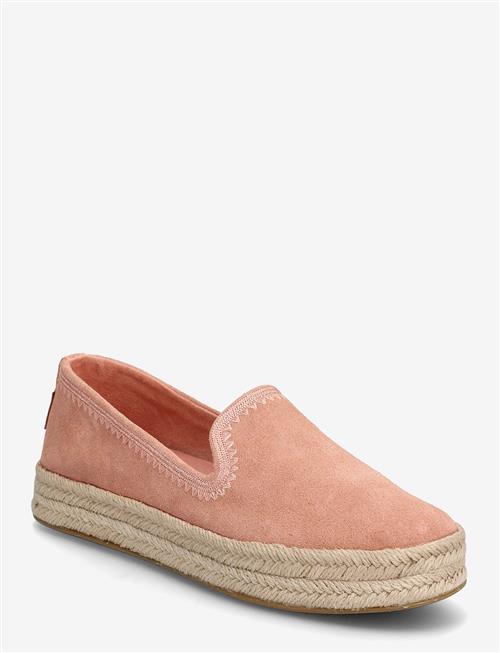TOMS | Carolina | 38.5