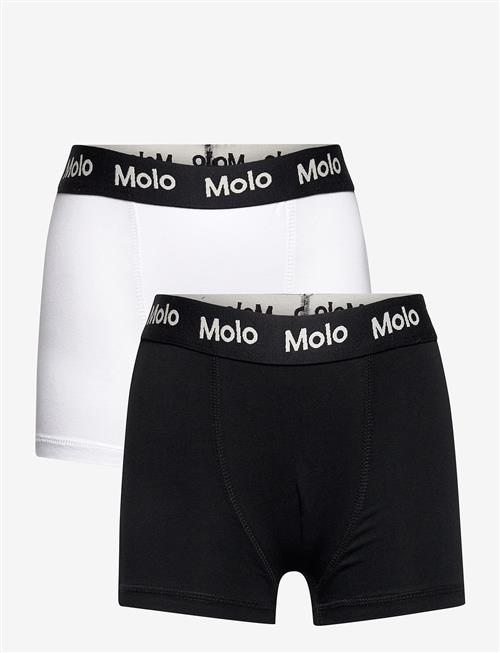 Molo | Justin 2-Pack | 158-164